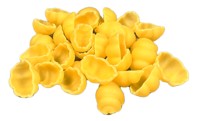 GNOCCHI