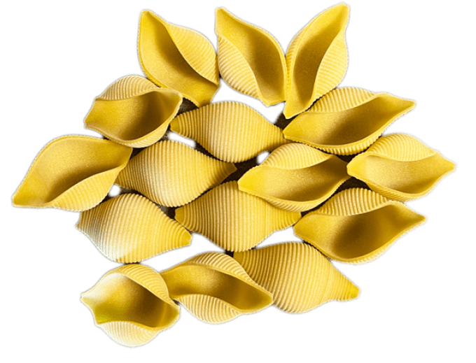 CONCHIGLIONI - al bronzo