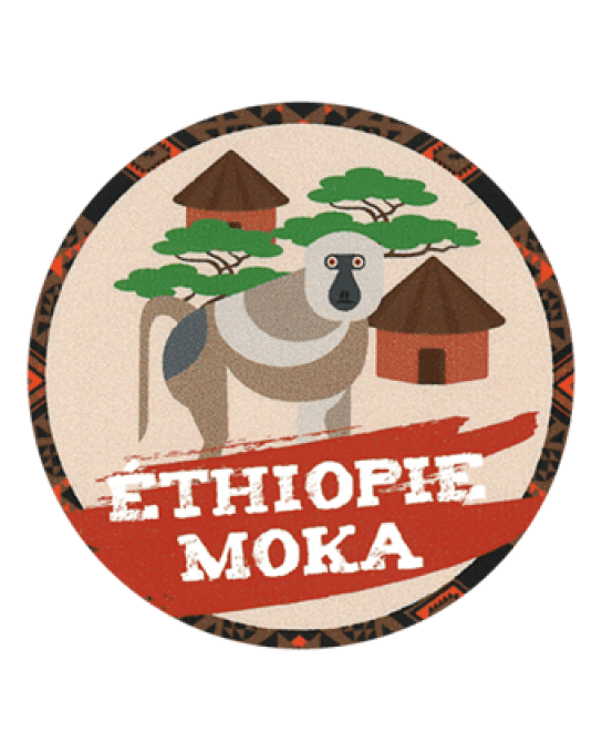MOKA D'ETHIOPIE